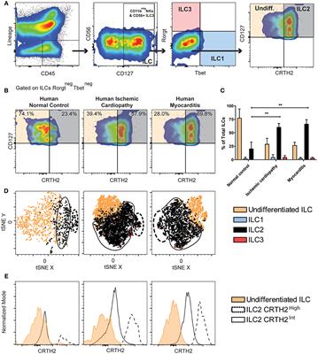 Non-cytotoxic Cardiac Innate Lymphoid Cells Are a Resident and Quiescent Type 2-Commited Population